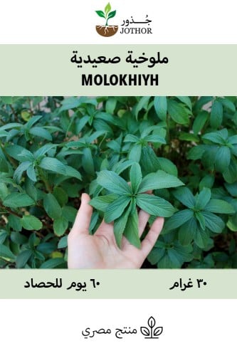 ملوخية صعيدية - Molokhiyh