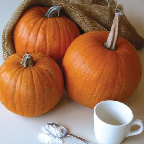 بذور يقطين فطيرة السكر - Pumpkin Sugar Pie Seeds