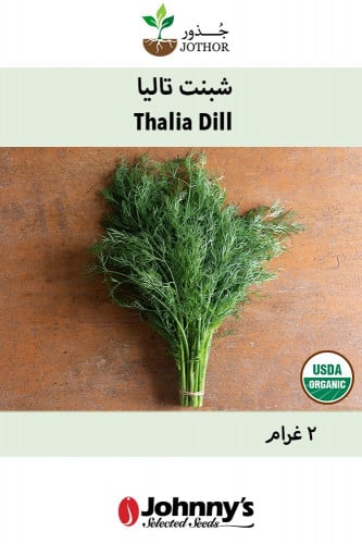 بذور شبنت تاليا - Thalia Organic Dill Seed