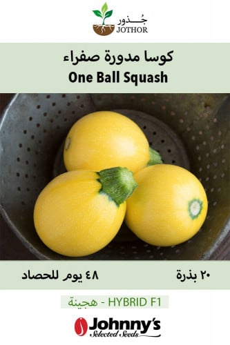 بذور كوسا مدورة صفراء - One Ball Squash Seeds
