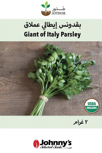 بذور بقدونس إيطالي عملاق عضوي - Giant Of Italy Par...
