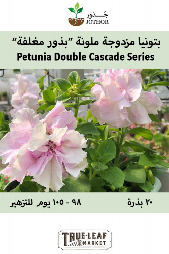بتونيا مزدوجة ملونة "بذور مغلفة" - Double Cascade...
