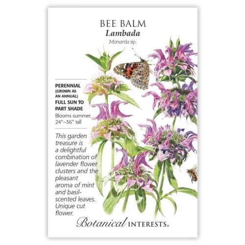 بذور نعناع ليموني - Bee Balm, Lambada Bee Balm See...