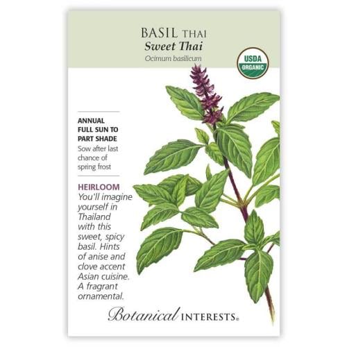 بذور ريحان تايلندي - Basil Thai Sweet Thai Seeds