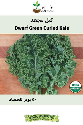 بذور كيل مجعد عضوي - Kale Vates Blue Scotch Curled...