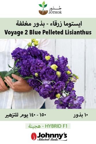 بذور ايستوما زرقاء - Voyage 2 Blue Pelleted (F1) L...