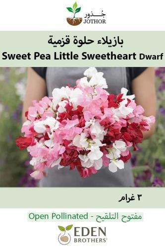 بذور بازيلاء حلوة قزمية - (Dwarf) - Little Sweetheart Mix Sweet Pea Seeds