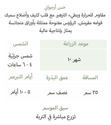 بذور خس ارجواني - Purple Fusion Pelleted Lettuce S...