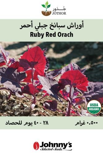 بذور أوراش سبانخ جبلي احمر - Orach Mountain Spinac...