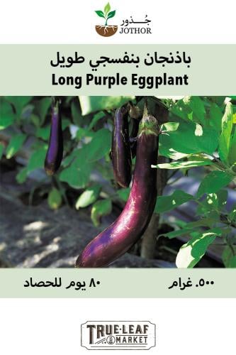 بذور باذنجان بنفسجي طويل - Long Purple Eggplant Se...