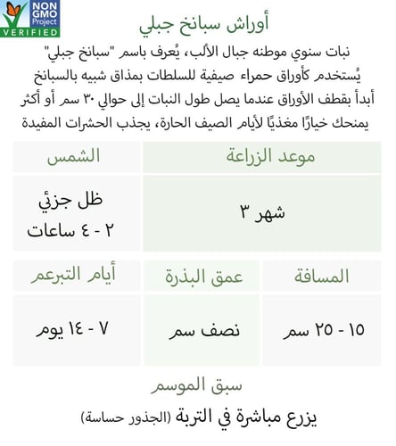 بذور أوراش سبانخ جبلي احمر - Orach Mountain Spinac...