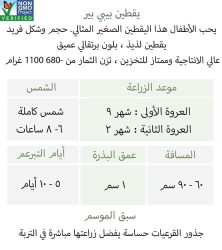 بذور يقطين بيبي بير - Baby Bear Pumpkin Seeds