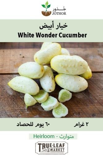 بذور خيار ابيض - Cucumber Seeds - White Wonder
