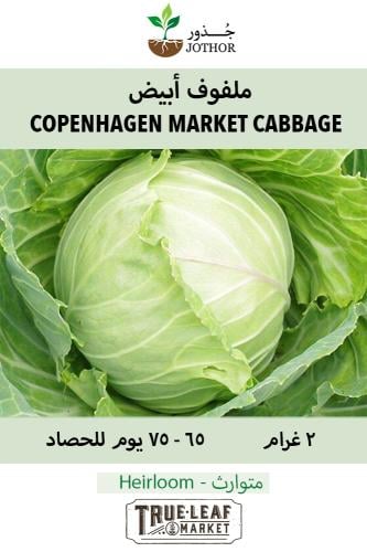 بذور ملفوف ابيض - Cabbage Copenhagen Market Seeds