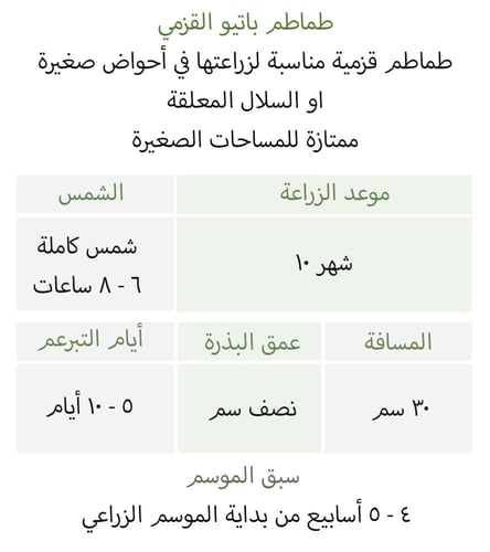 طماطم باتيو القزمي - Patio Choice Red Cherry Tomat...