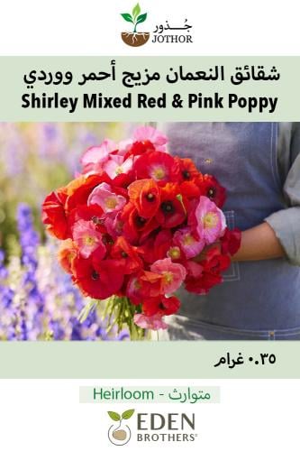 بذور شقائق النعمان مزيج احمر ووردي - Shirley Poppy Seeds - Mixed Red & Pink