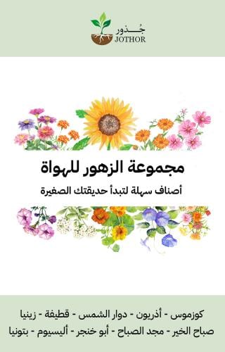 مجموعة بذور الزهور للهواة - Beginner Flower Kit