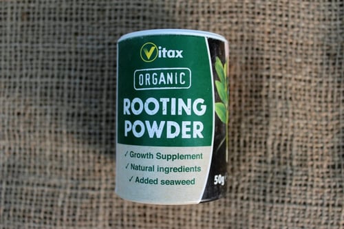 بودرة التجذير العضوية - VITAX ROOTING POWDER