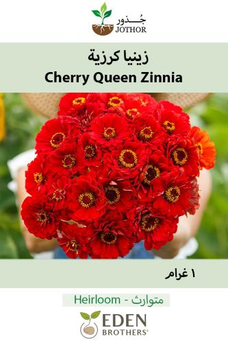بذور زينيا كرزية - Cherry Queen Zinnia Seeds