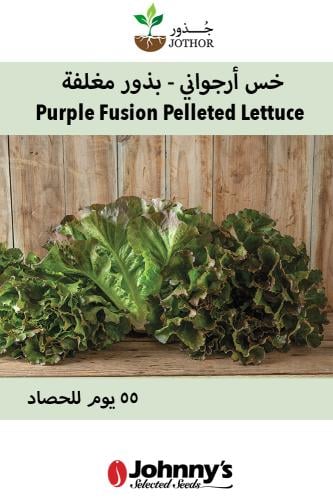 بذور خس ارجواني - Purple Fusion Pelleted Lettuce S...