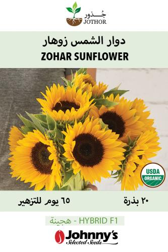 دوار الشمس زوهار - Zohar F1 Sunflower Seeds