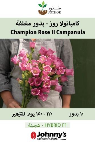 كامبنولا روز - بذور مغلفة - Champion Rose Pelleted...