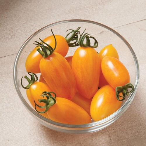بذور طماطم خجول - Blush Tomato Seeds