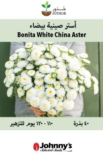 بذور أستر الصينية بيضاء - Bonita White Film-Coated...