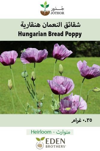 بذور شقائق النعمان هنقارية - Poppy Seeds - Hungari...
