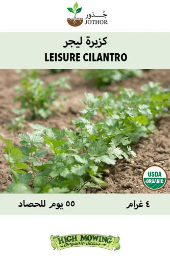 بذور كزبرة ليجر - Leisure Cilantro Seeds
