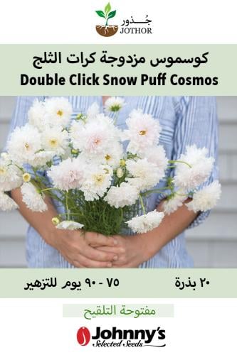 بذور كوسموس مزدوجة كرات الثلج - Double Click Snow...