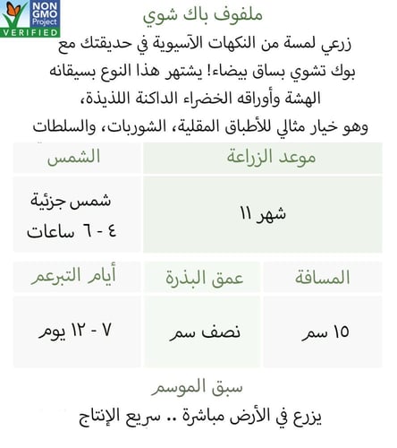 بذور باك شوي - White Stem Pak Choi Cabbage Seeds