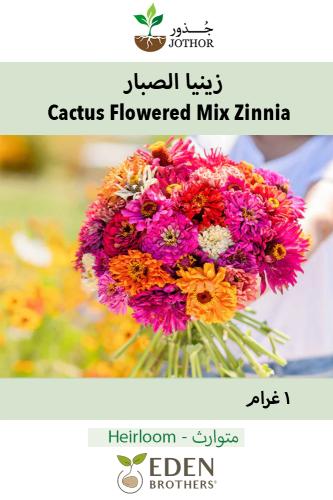 بذور زينيا الصبار الملونة - Cactus Flowered Mix Zi...