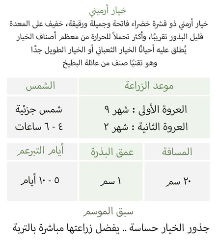 بذور خيار ارميني - Armenian Organic Cucumber Seeds