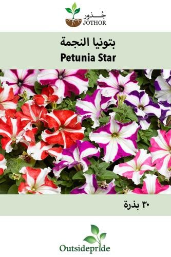 بذور بتونيا النجمة - Petunia Picotee Seeds