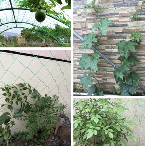 شبك للمتسلقات 180 سم