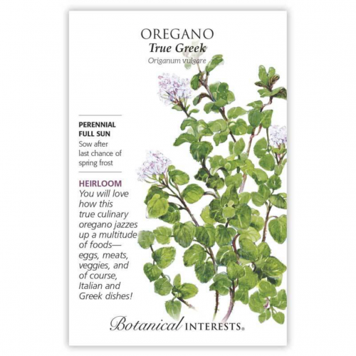بذور اوريجانو يوناني - True Greek Oregano Seeds