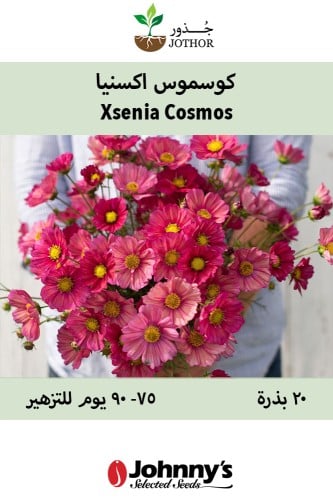بذور كوسموس اكسينيا - Xsenia Cosmos Seed
