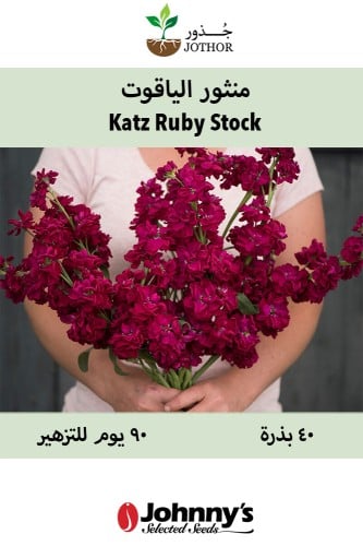 بذور منثور "ستوك" الياقوت - Katz Bright Katz Ruby...