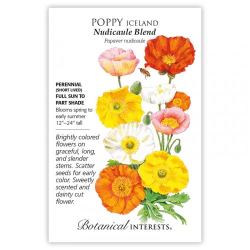 بذور شقائق النعمان - Nudicaule Blend Iceland Poppy...