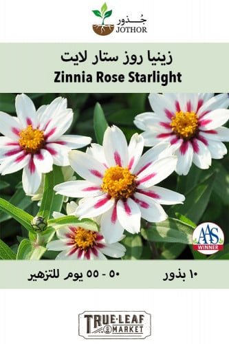 بذور زينيا ستار لايت - Zahara Series Starlight Ros...