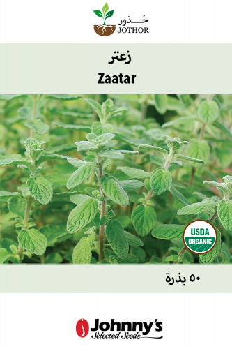 بذور زعتر فلسطيني عضوي - Zaatar Organic Seeds