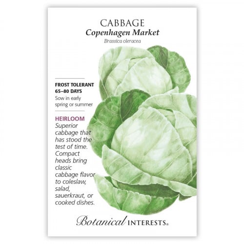 بذور ملفوف أبيض - Cabbage Copenhagen Market Cabbag...