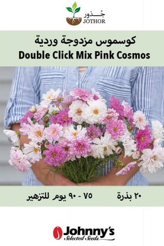 بذور كوسموس مزدوجة وردية - Double Click Bicolor Pi...