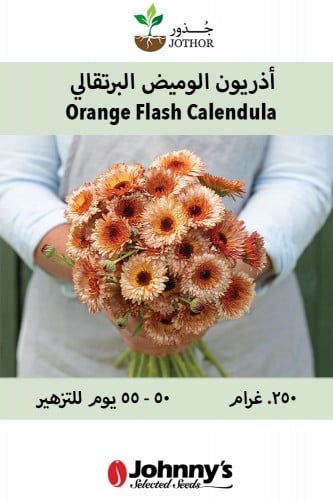 أذريون الوميض البرتقالي - Orange Flash Calendula S...