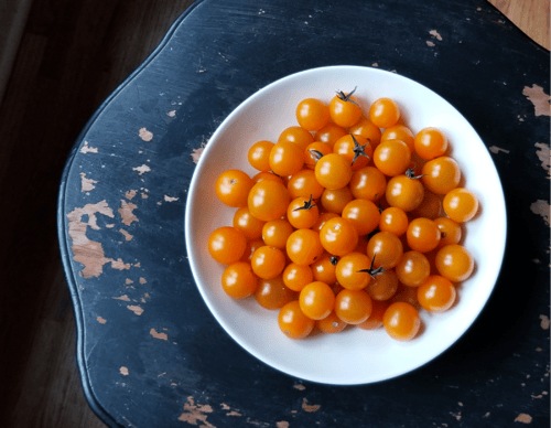 بذور طماطم تورنجينا - Toronjina Cherry Tomatoes se...