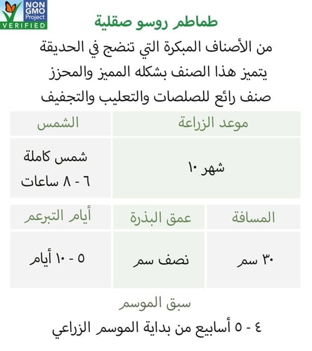 بذور طماطم روسو صقلية - Rosso Sicilian Tomato Seed...