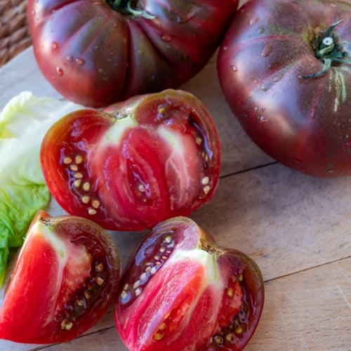 بذور طماطم بلاك كريم - Black Krim Tomato Seeds