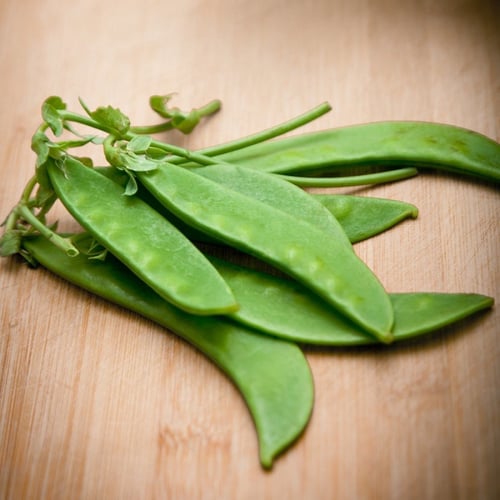بذور بازيلاء أورغون - Oregon Sugar Pod II Snow Pea...