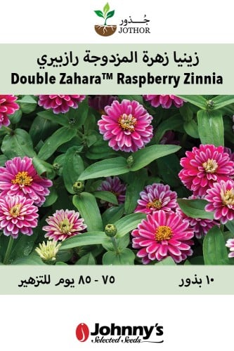 بذور زينيا زهرة رازبيري - Double Zahara™ Raspberry...